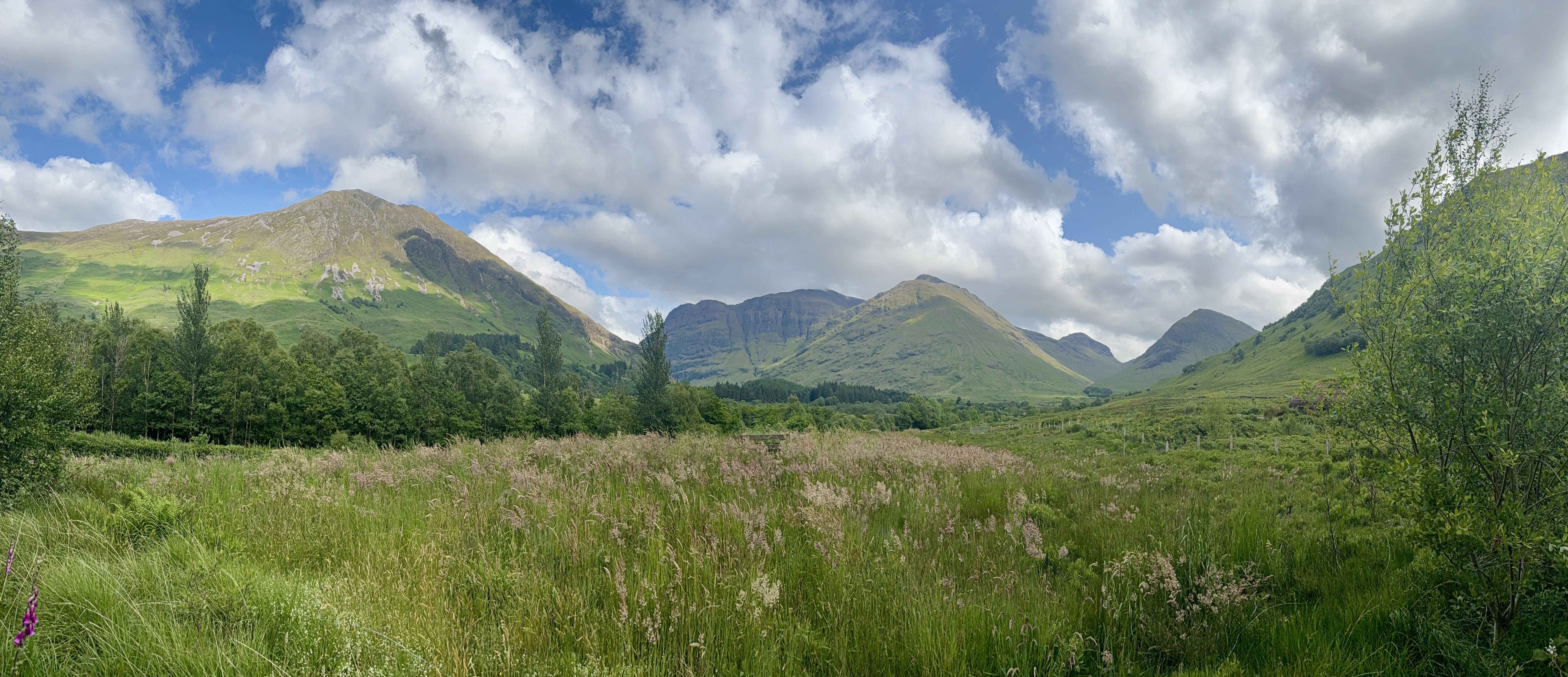 A grass field with the Scottish highlands in the background.