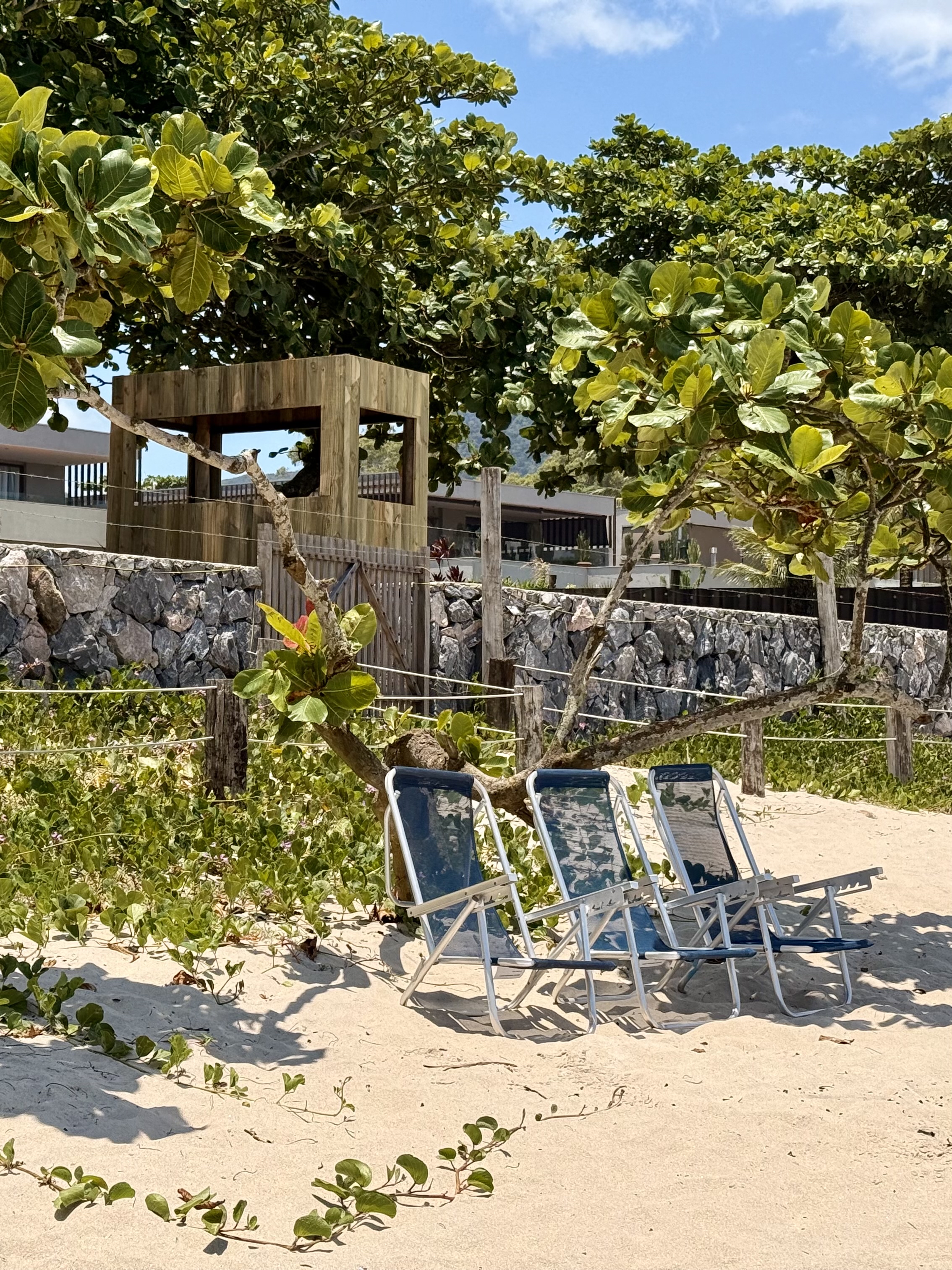 A sandy beach facing inland with three blue lounge chairs in front of greenery.